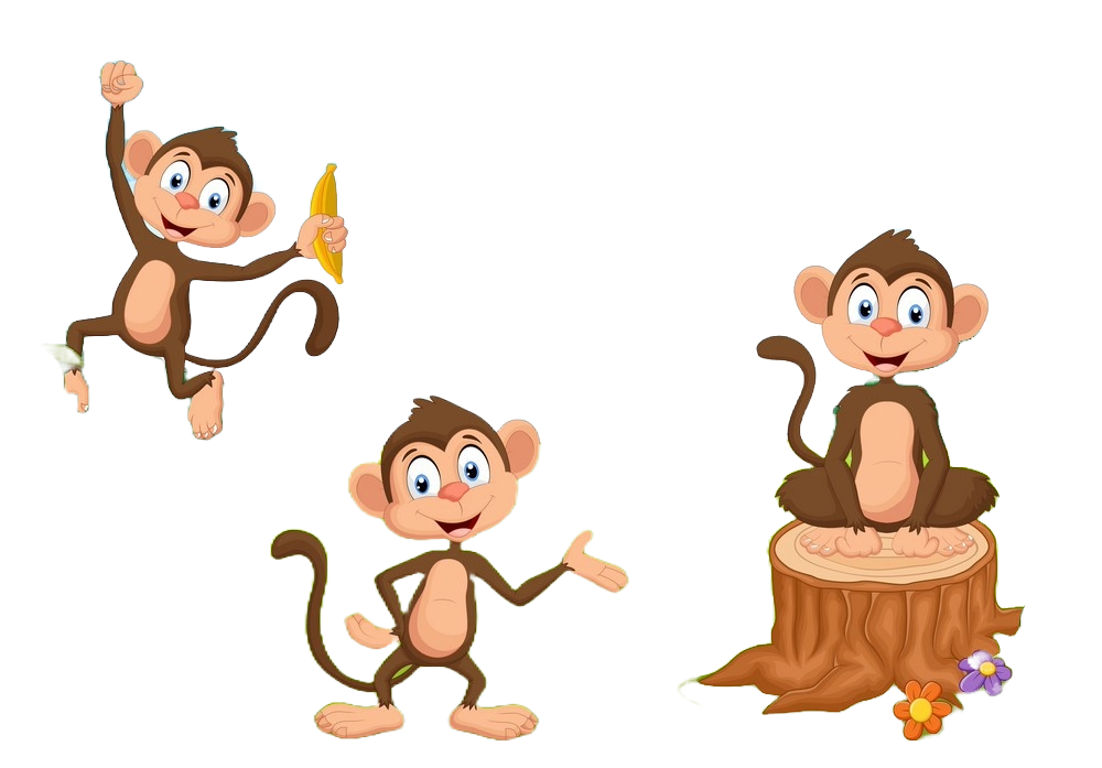 Monkey Image